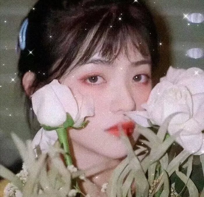 我的亲密敌人